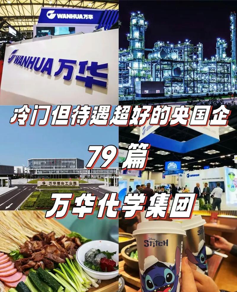 萬(wàn)華化學(xué)集團(tuán)股票，萬(wàn)華化學(xué)股份股票分紅